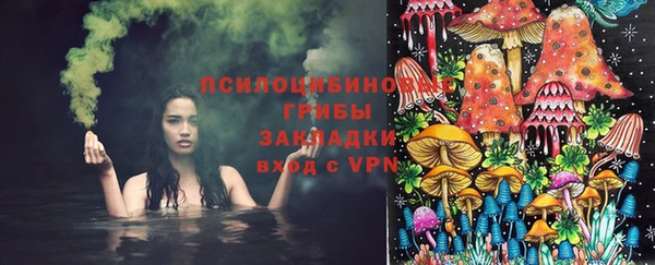 мдпв Армянск
