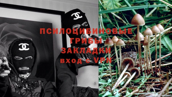 марки nbome Аркадак