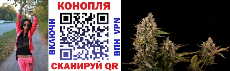 Марихуана сатива  Шарыпово 